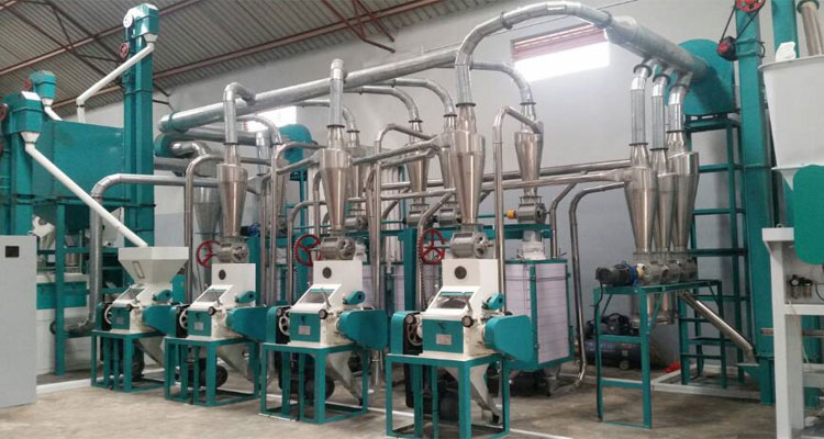 30T/24H maize mill machine 