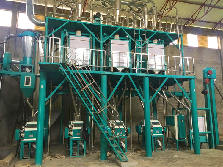 36T per day wheat mill machine