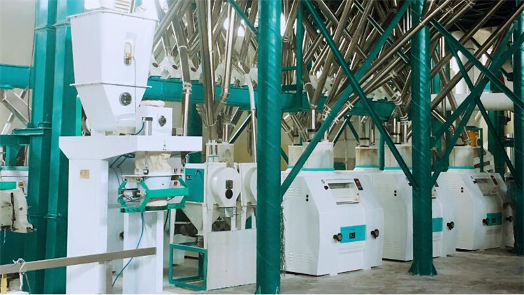 120T per day wheat mill machine