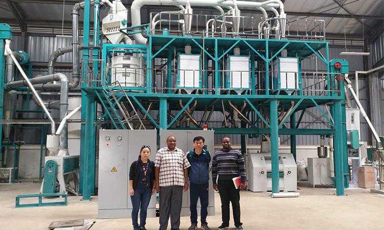 50t European standard maize flour mill in Kenya