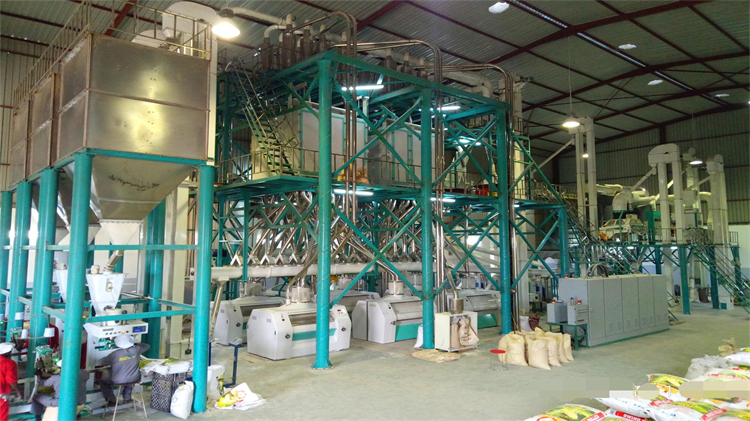 240t maize flour mill machine