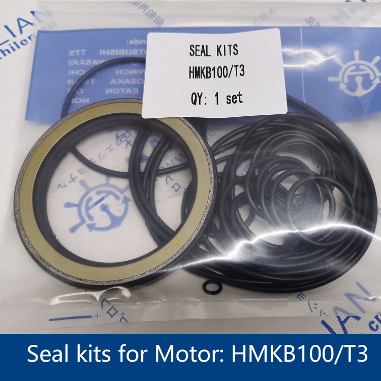 Seal_kits_for_Motor_HMKB100_T3