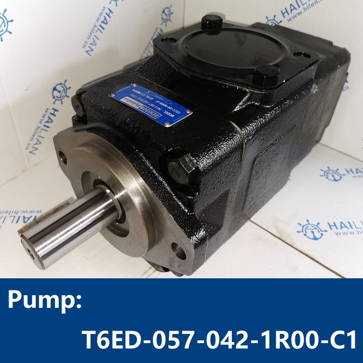 PumpT6ED-057-042-1R00-C1