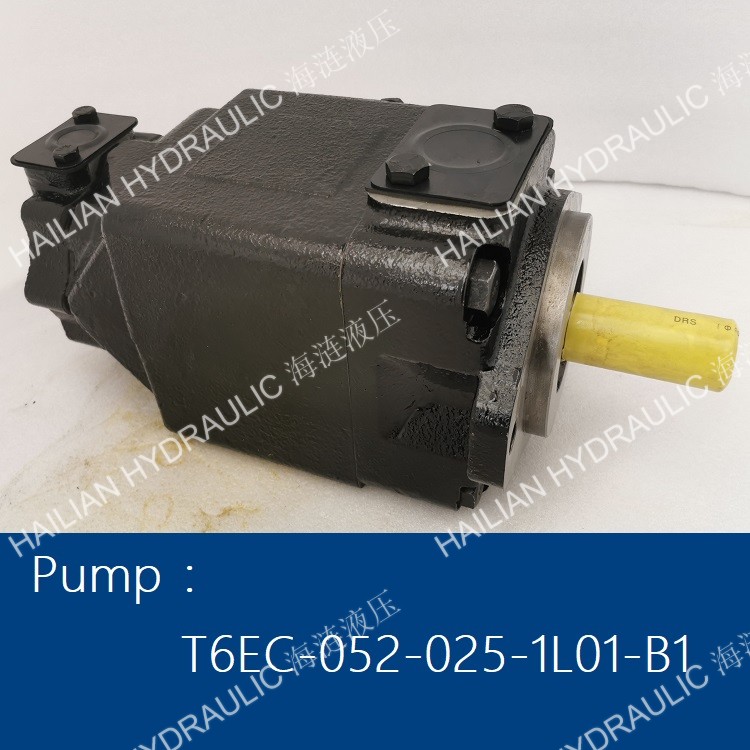 T6EC0520251L01B1_Hydraulic_pump