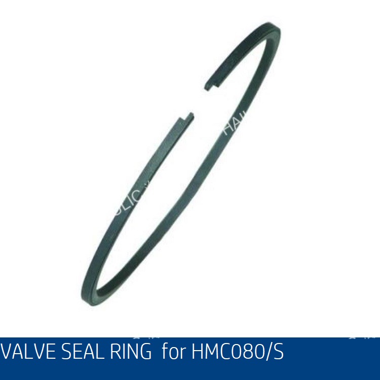 VALVES_SEAL_RING_FOR_HMC080