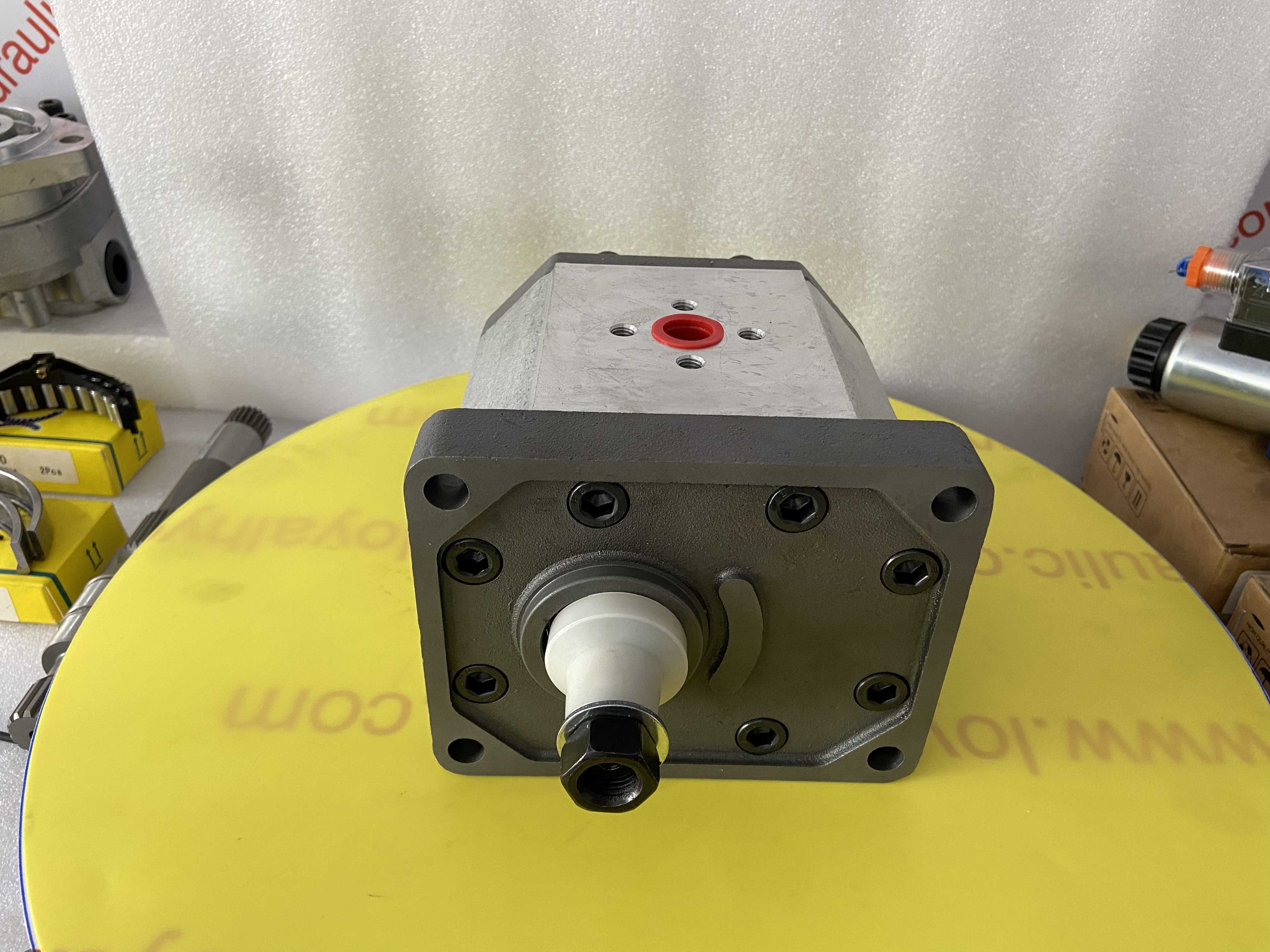 Caprni Gear Pump all Kinds Of Caproni Gear Pump With Short Delivery 