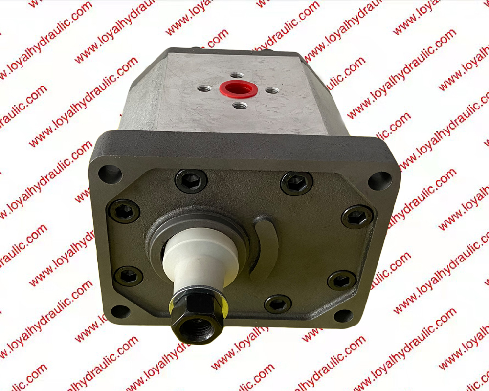Caproni Gear Pump For Tractor Truck construction Machinery agricultural 