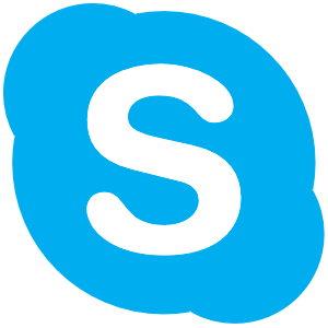 Contact Excelsoo by Skype
