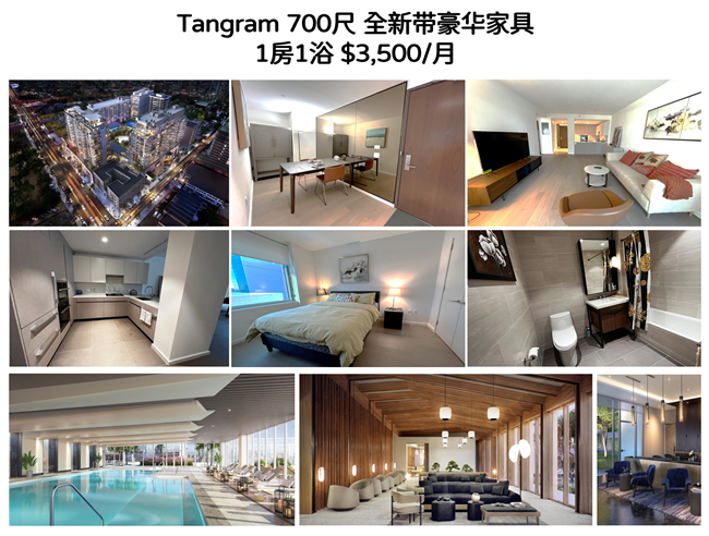 Tangram1--