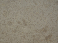 Jura Beige Limestone