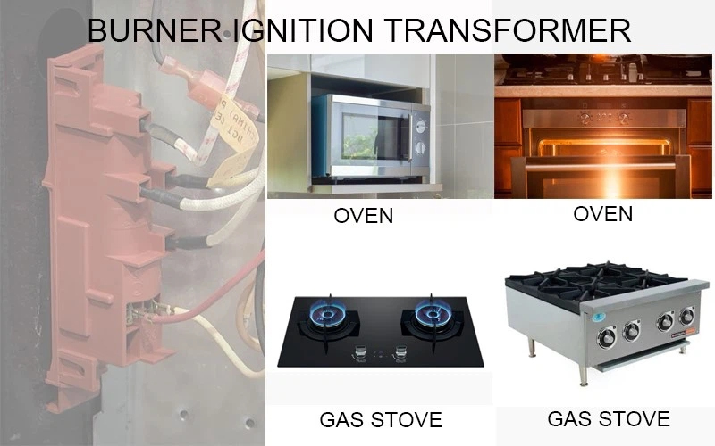 gas ignition module