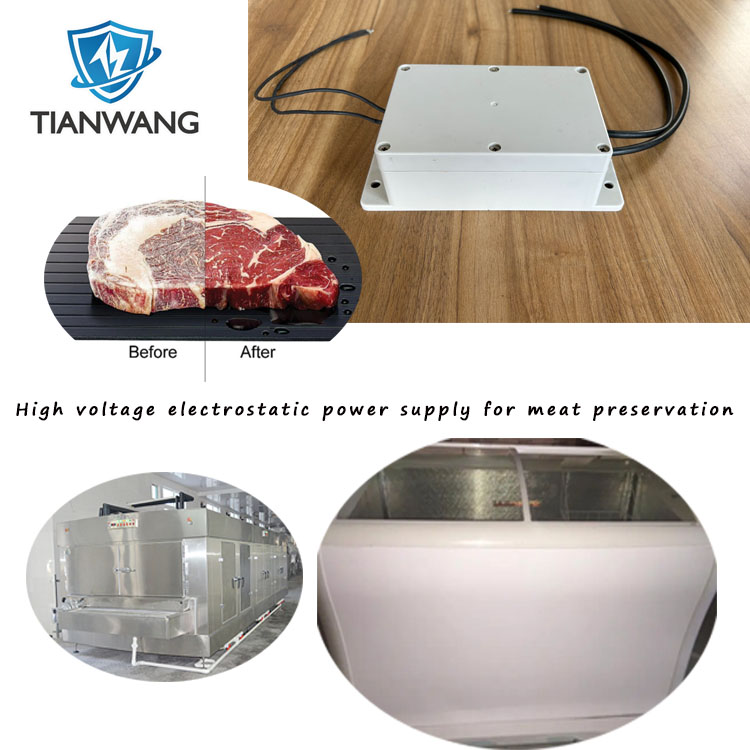 High voltage electrostatic generator for thawing cabinet