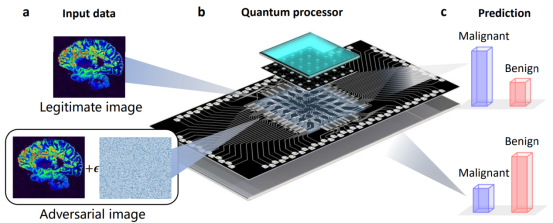 ZJU, Tsinghua achieve groundbreaking results in superconducting quantum ...