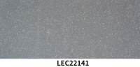 LEC22141