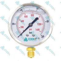 CODOL-GAUGE-2