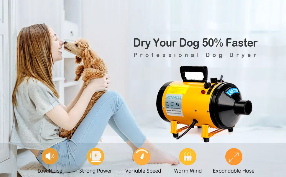 LANTUN 1090A Dog Home Use grooming pet hair dryerUoupet