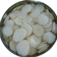 canned-water-chestnuts-slices