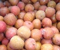 IQF-LYCHEE-WHOLE