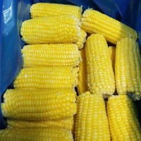 IQF-Sweet-Corn-whole