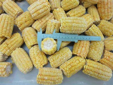 IQF-weet-corn-cob