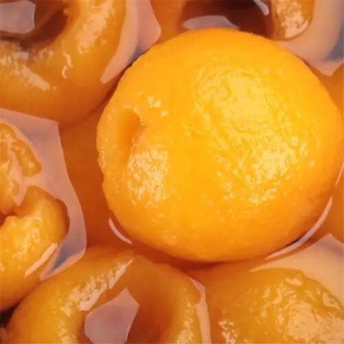 Canned-Loquats-in-light-syrup