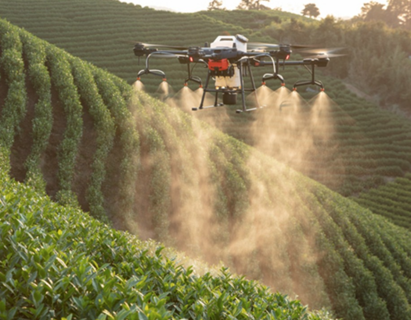 Drone agriculture pesticide sprayer