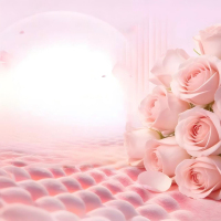 rosefiber6