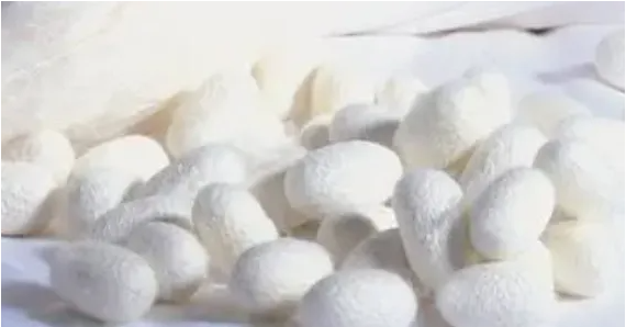 silkproteinfiber