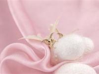 silkpupa2