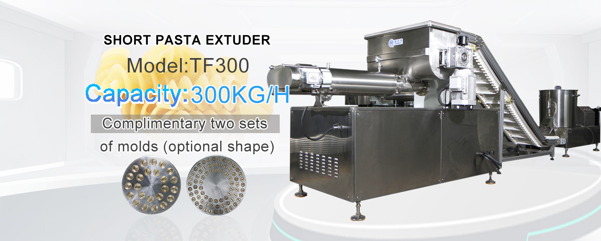 Pasta extruder semi-industrial, for continuous production all