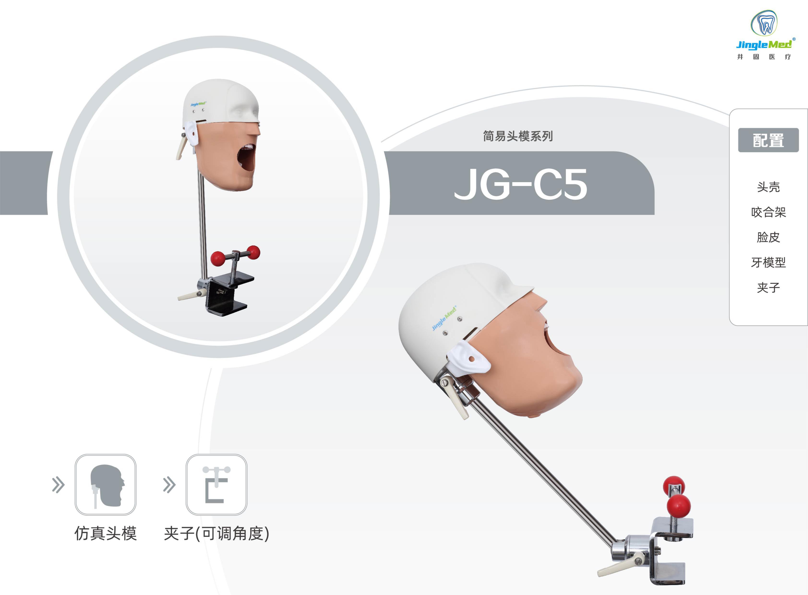 仿真人口腔教学头模JG-C1 JG-C5 JG-C6-1 JG-C7 JG-C9-企业官网