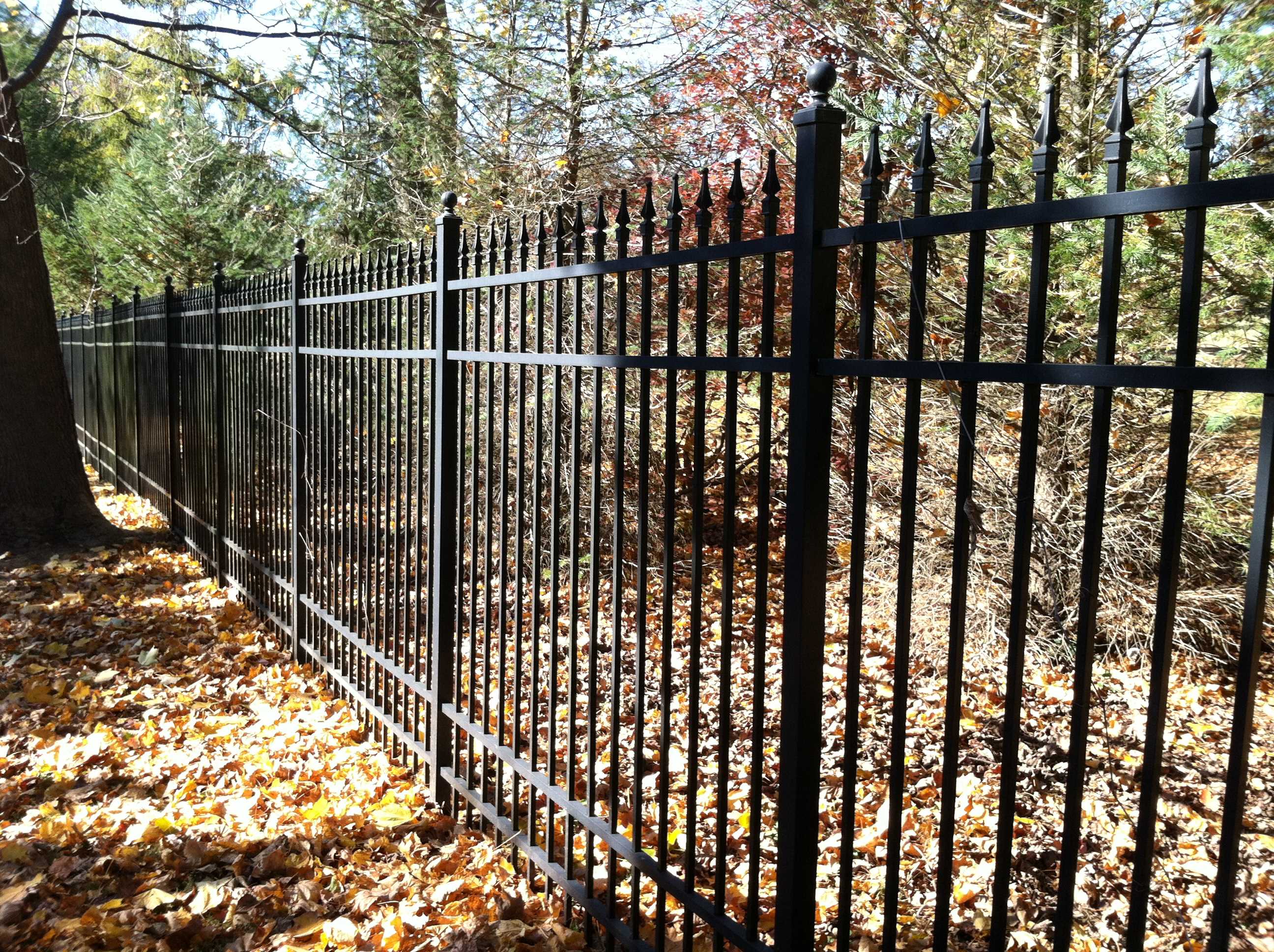 Gardon Fence