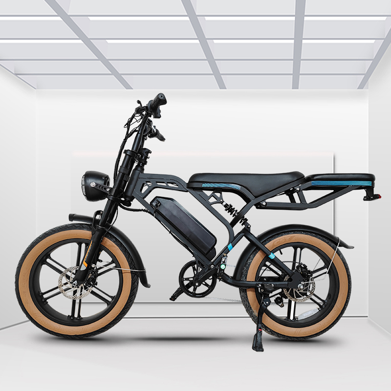 V20 Pro Electric Bike-Electric Scooter