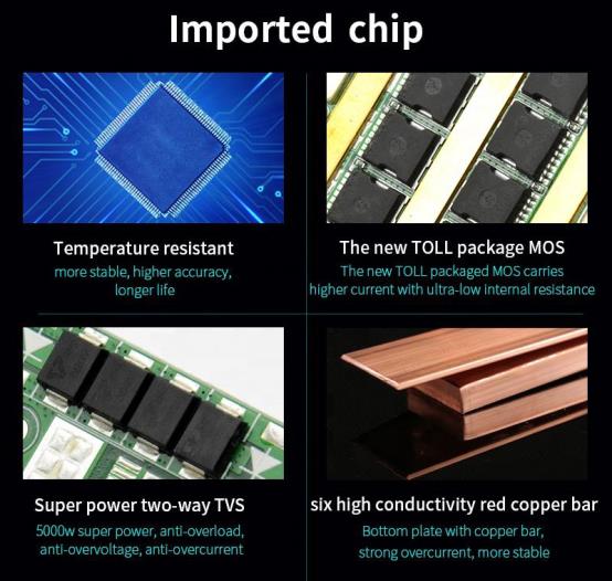 Imported chip