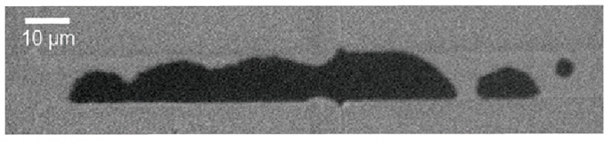 SOT-driven magnetic switching in CoTb ferrimagnetic micrometer wires