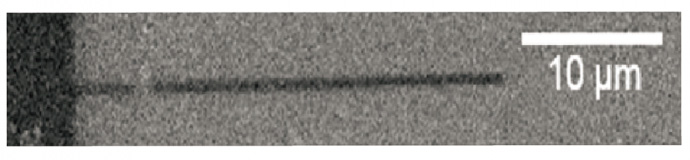 Domain wall movement driven by (120mT, 5 μs) magnetic field pulses in 200 nm wide Ta/CoFeB/MgO wires.