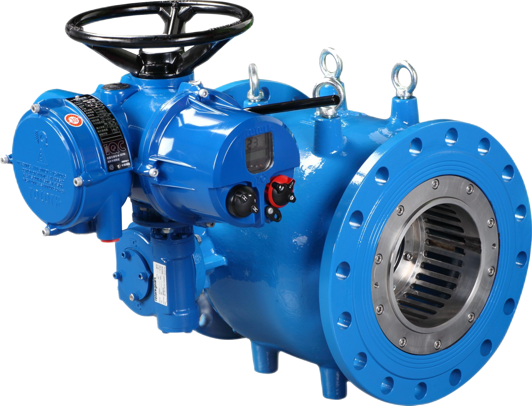Plunger (Needle) Control Valve