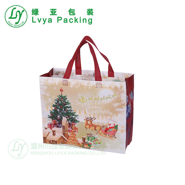 Carrybagshoppingbagfoldablereusableppnonwovenshoppingbag-3