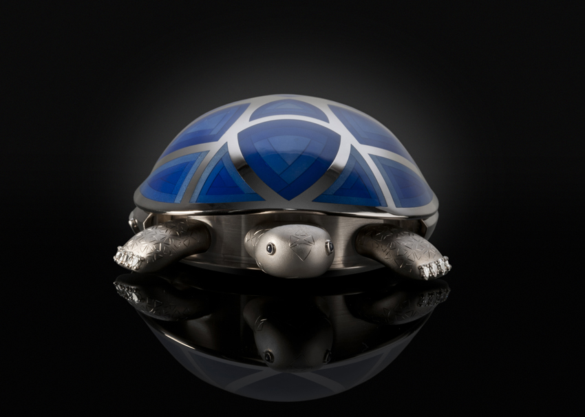 tortue-02lowres