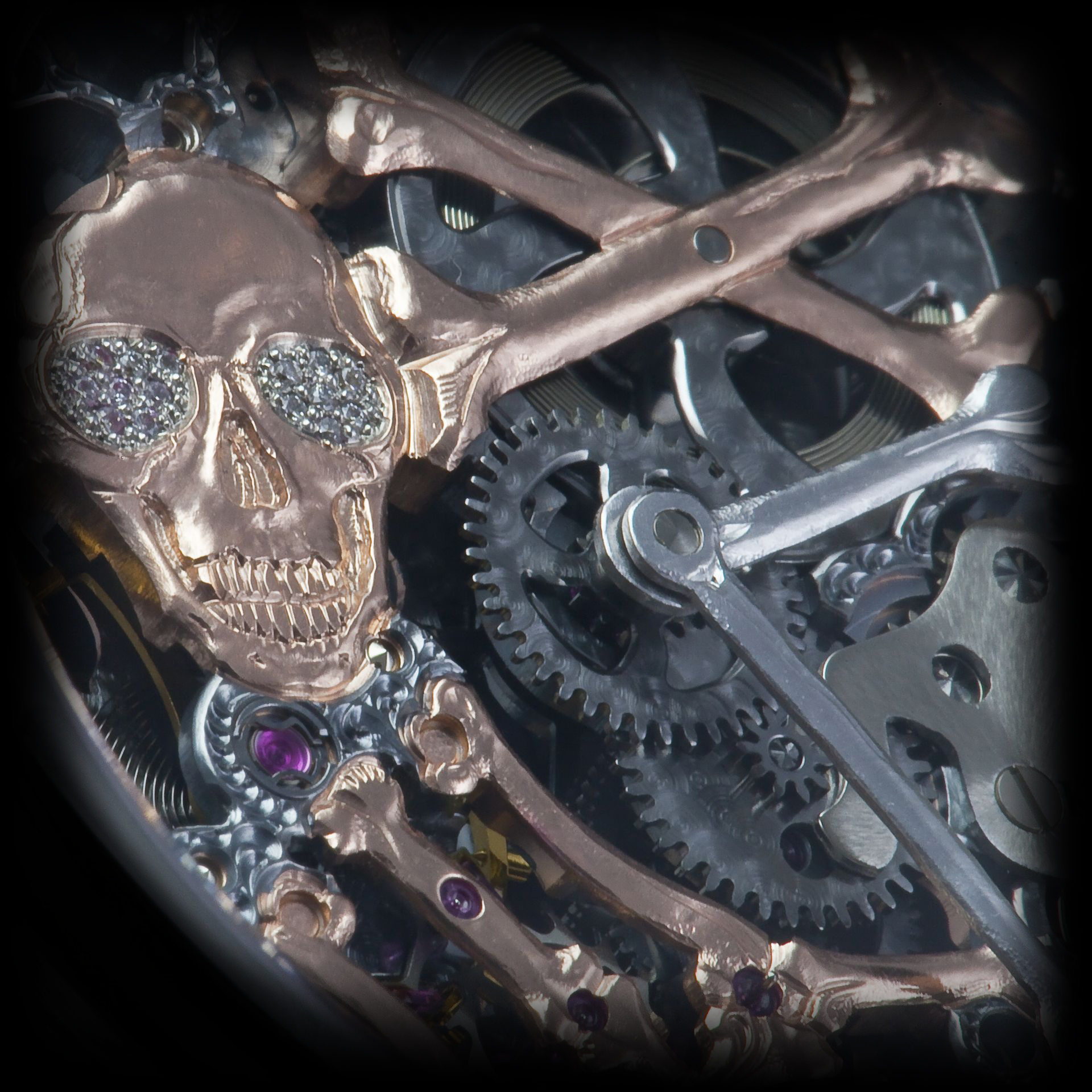 Real-Skeleton_skull-detail_R