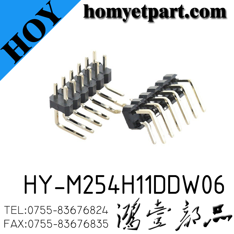 HY-M254H11DDW06