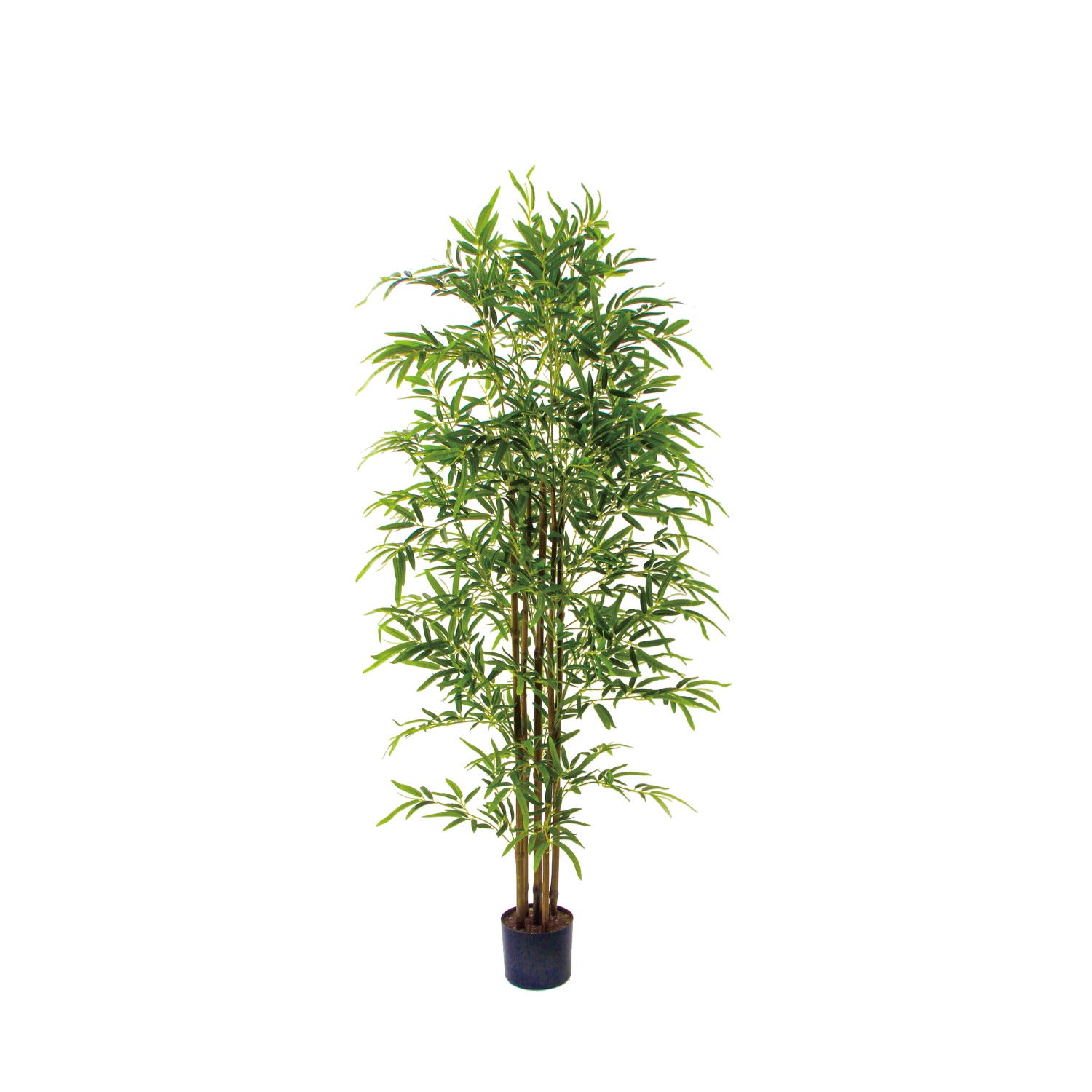 PIANTA DECORATIVA BAMBOO TREE 200CM - KARE