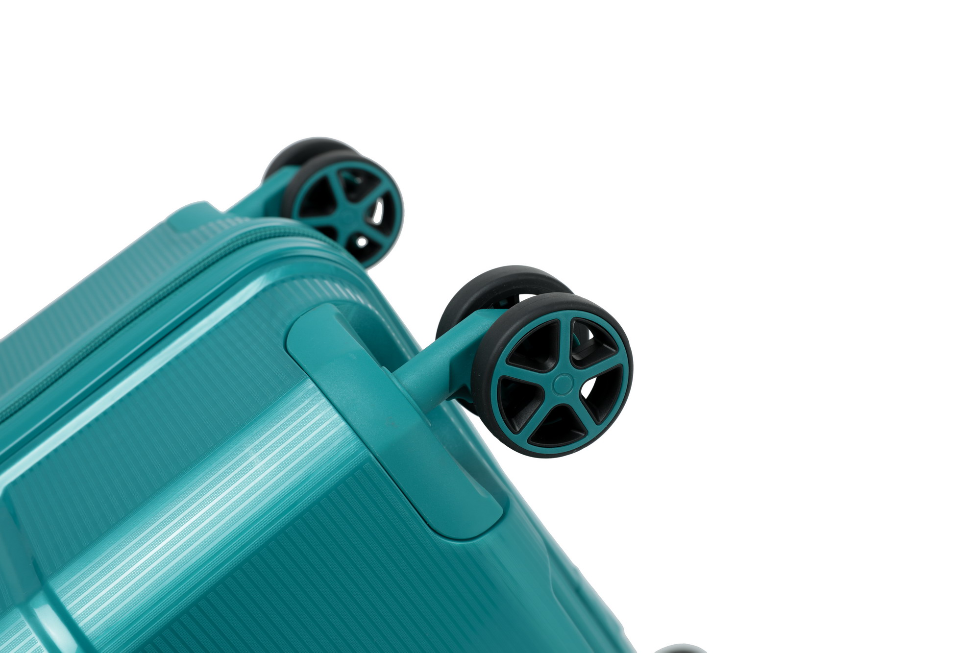 251A2446_缩小大小