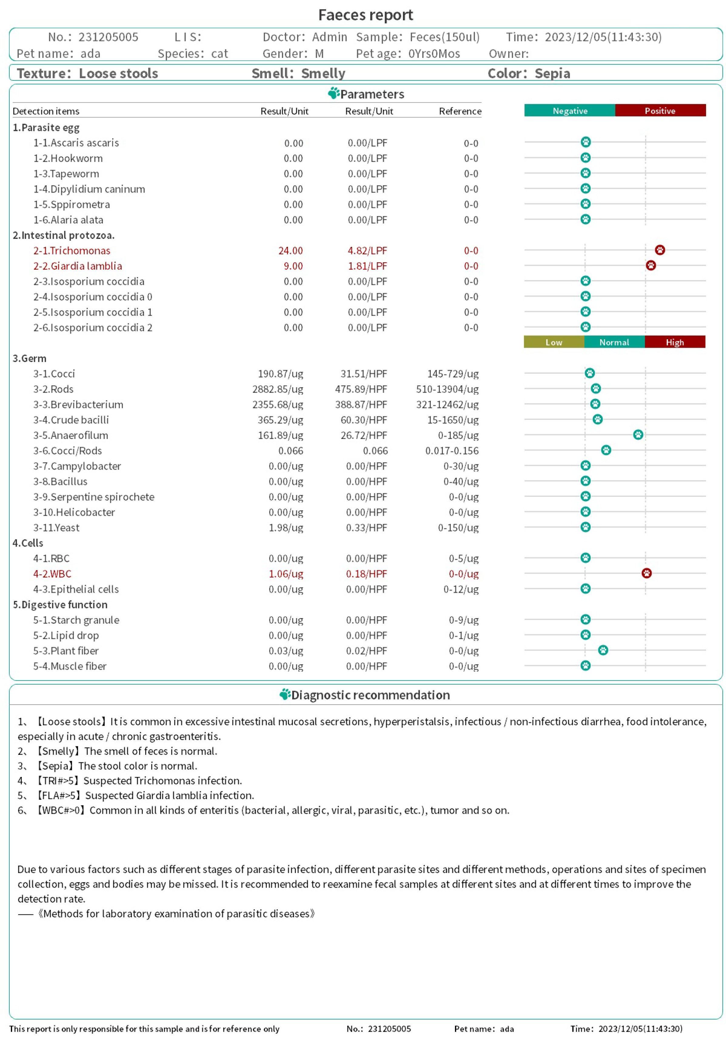 CompositeReport-1