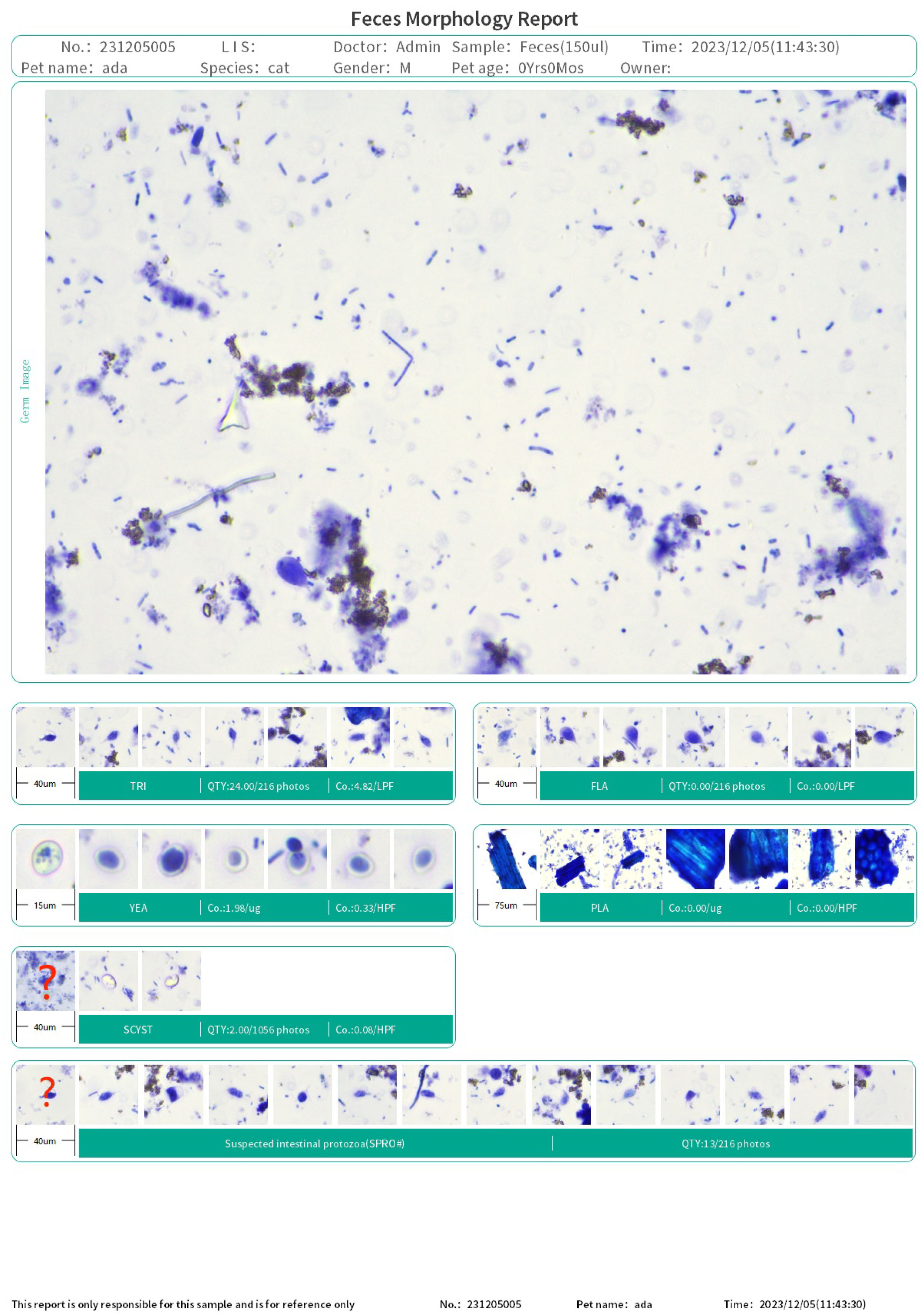 CompositeReport-2