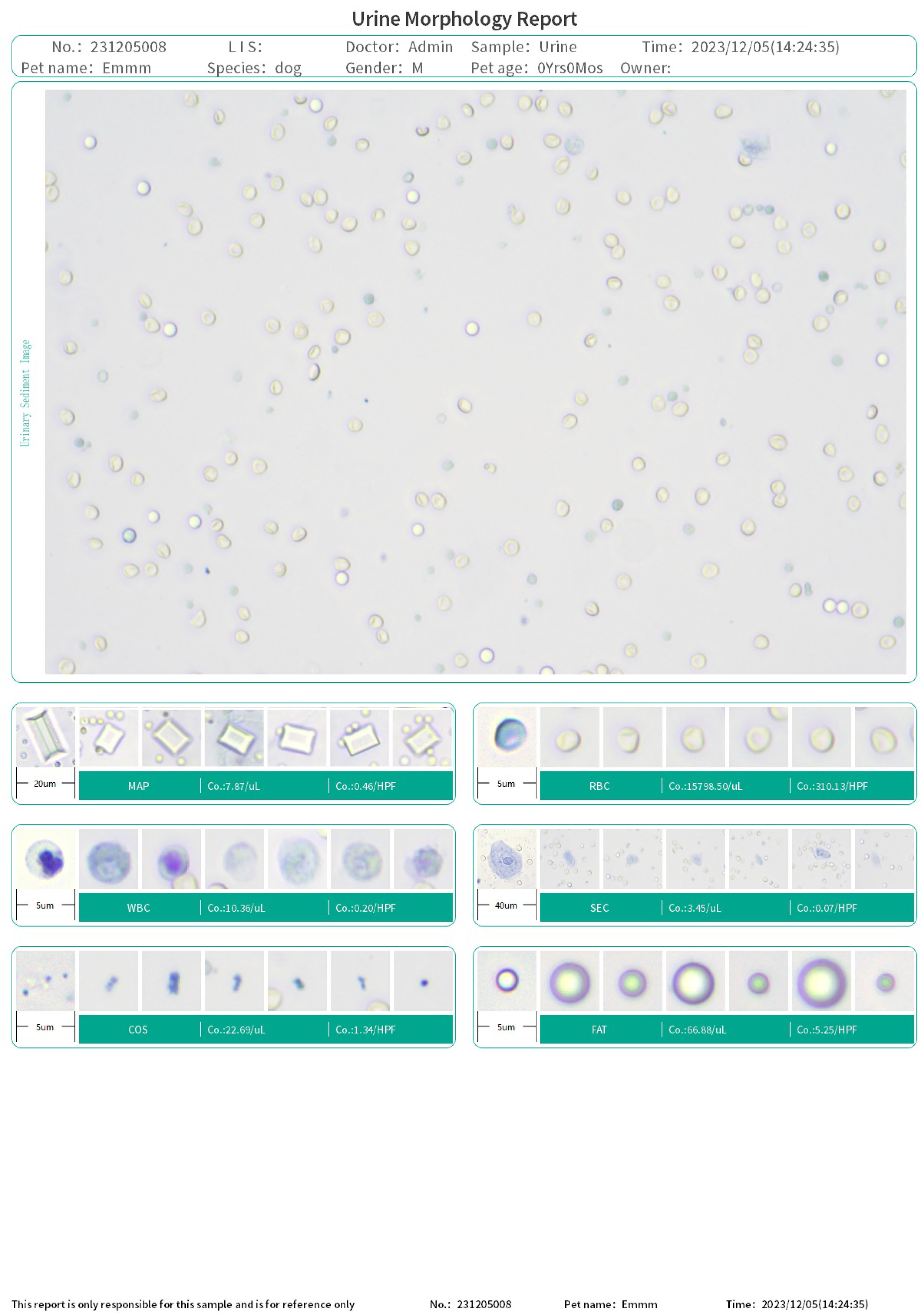 CompositeReport-6