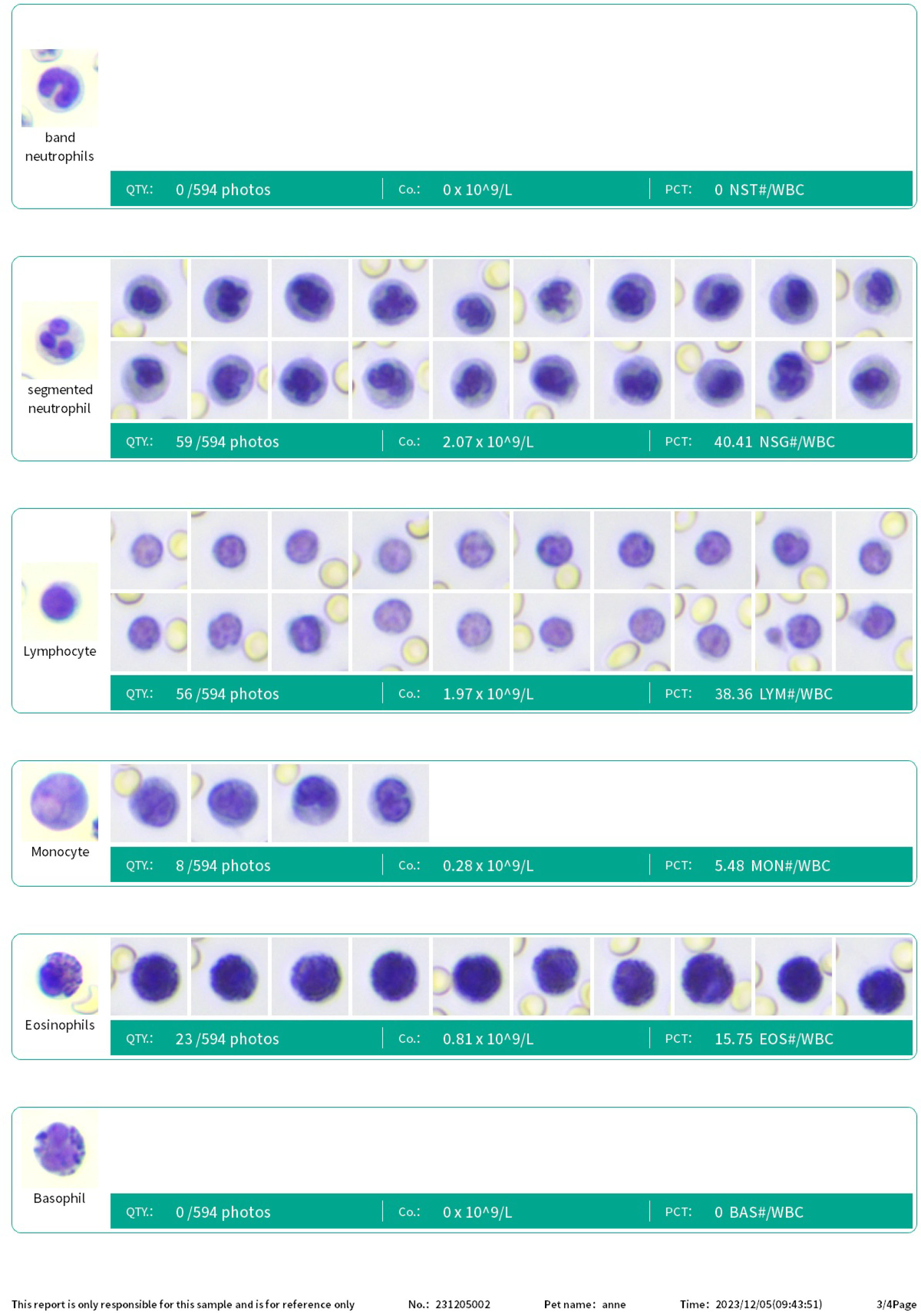 CompositeReport-9