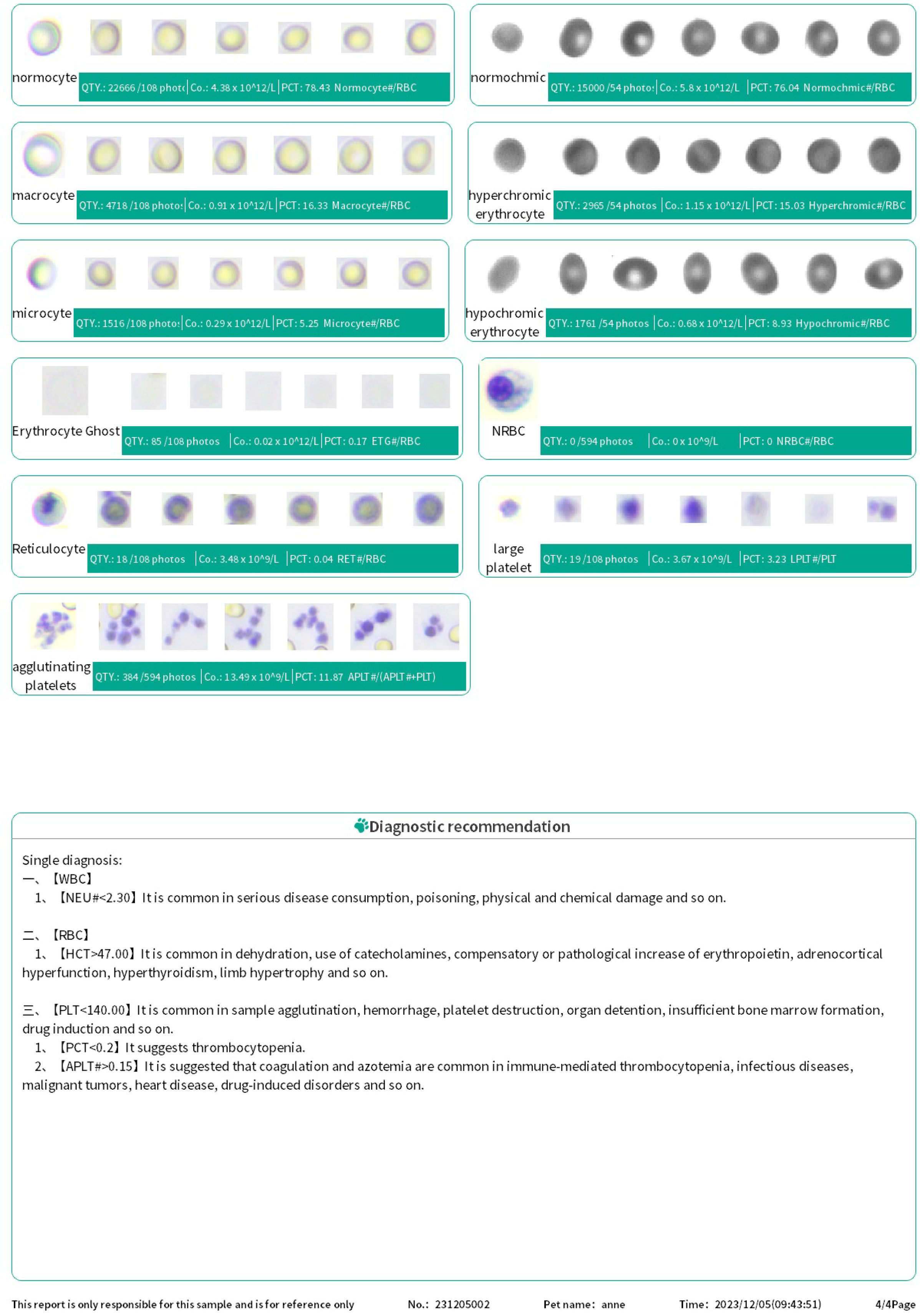 CompositeReport-10