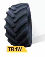 TR1W