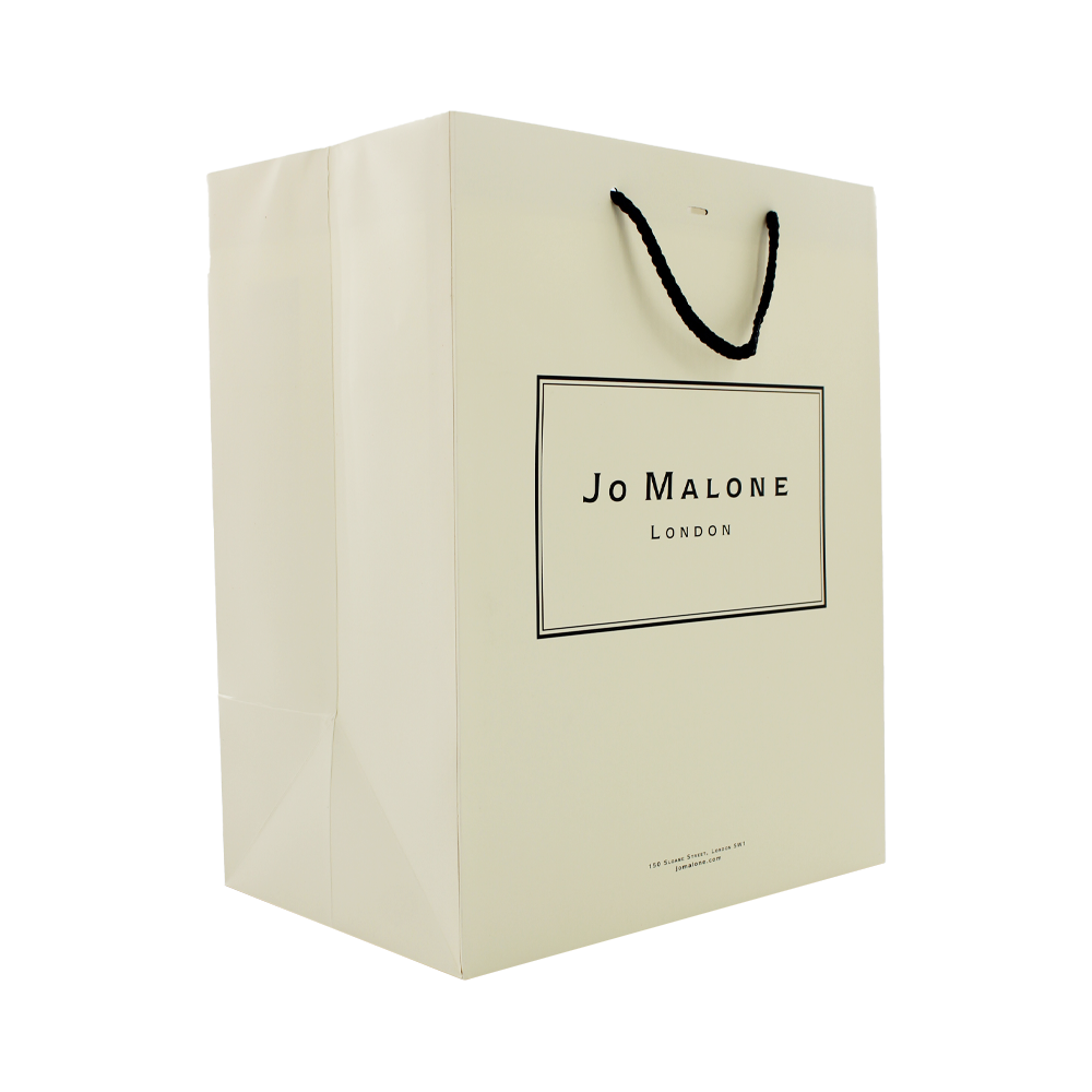 Beige luxury gift shopping paper bag